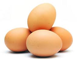 info harga posko telur hari ini
